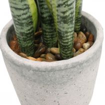 Konstgjord hampa, grön växt i kruka, Sansevieria H39cm Ø12cm