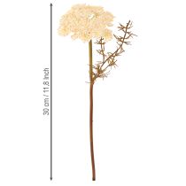 Artikel Konstgjorda rölleka-krämblommor Achillea 30 cm 6 st