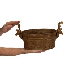 Artikel Dekorativ skål, renhuvud, oval, rostfärgad, rustik, 41 cm