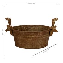 Artikel Dekorativ skål, renhuvud, oval, rostfärgad, rustik, 41 cm