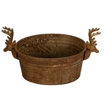 Artikel Dekorativ skål, renhuvud, oval, rostfärgad, rustik, 41 cm