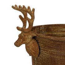 Artikel Dekorativ skål, renhuvud, oval, rostfärgad, rustik, 41 cm