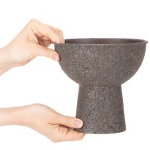 Artikel Rund växtskål med bas, 18 cm