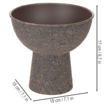 Artikel Rund växtskål med bas, 18 cm
