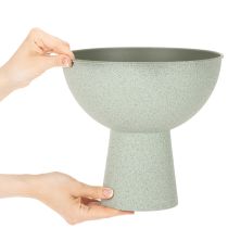 Artikel Skål med stativ för växter, dekorativ skål, 25 cm