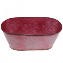 Artikel Skål med bladdekoration, planter, höstdekoration, metallkruka vinröd L38cm H15cm
