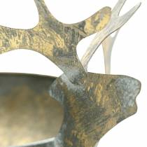 Artikel Skål med renhuvud gyllene antik look metall Ø14cm