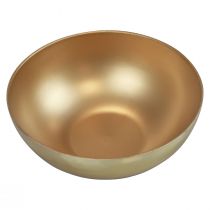 Artikel Dekorativ skål guldskål plast mattblank Ø20cm H7cm