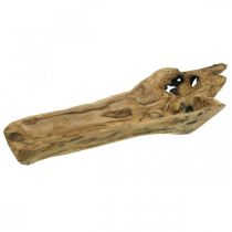 Dekorativ skål Paulownia trä, blombricka, träkärl L58cm H7–8cm