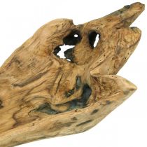 Dekorativ skål Paulownia trä, blombricka, träkärl L58cm H7–8cm