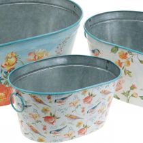 Artikel Växtskålar, vår, kruka med blommor/fåglar, oval metallbehållare L39/31/24,5 cm, set om 3
