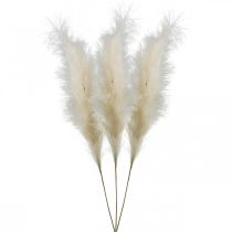 Feather Grass Cream kinesisk vass konstgjord torrt gräs 100cm 3st