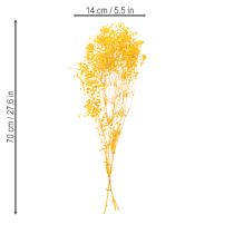 Artikel Torkad blombukett med baby's breath. Dekorativa blommande grenar lämpliga för säsongsbetonade bordsdekorationer. 70 cm