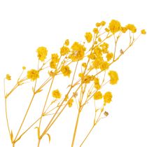 Artikel Torkad blombukett med baby's breath. Dekorativa blommande grenar lämpliga för säsongsbetonade bordsdekorationer. 70 cm