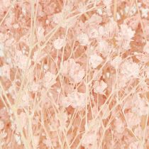 Artikel Gypsophila Dekoration Orange Torkade Gräs Persika 65-70cm 100g