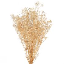 Artikel Gypsophila Pansy Gipsört Vita blommor 50cm 55g