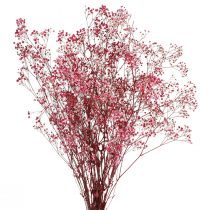 Artikel Gypsophila paniculate gipsört i bär L50cm 55g