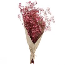 Artikel Gypsophila paniculate gipsört i bär L50cm 55g