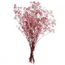 Artikel Gypsophila paniculate gipsört i bär L50cm 55g