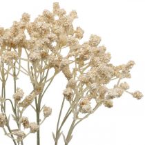 Artikel Artificiell Gypsophila Cream Gypsophila 46cm gäng om 3 stycken