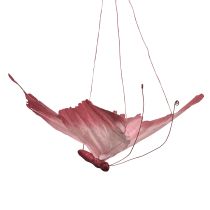 Artikel Stor hängande fjärilsdekoration, elegant väggdekoration, 50 cm, 2 stycken
