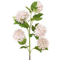 Artikel Snöbollsväxt Konstgjorda Blommor Rosa Vit L78cm 2st