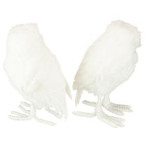 Artikel Snöuggla Dekorativ Uggla Vit med Päls och Fjädrar 15,5 cm 2 st