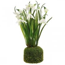 Konstgjord snödroppe, konstgjord snödroppeblomma 25cm