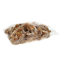 Artikel Svarta kottar dekorativa kottar kräm 5-8cm 1kg