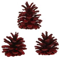 Artikel Svarta kottar Bordeaux dekorativa kottar röd 6-8cm 6 st