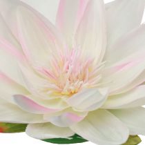 Artikel Flytande näckrosor konstgjorda bordsdekorationer vita, rosa Ø15cm 2 st