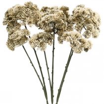 Artikel Sedum konstgjord blomma sedum grädde blomdekoration höst 70cm 3st