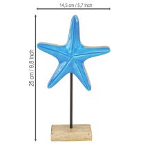 Artikel Sjöstjärna dekoration på bas maritimt naturligt blått trä H25cm