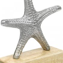 Metall sjöstjärnor, maritim dekoration, dekorativ skulptur silver, naturliga färger H18cm