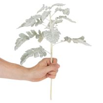 Artikel Konstgjord Senecio-gren, silverblad, intrikat tillverkad, 45 cm, 3 stycken