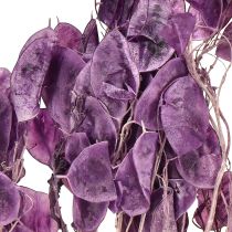 Artikel Torkat silverblad Lunaria månviolet lila 65-70cm 20g