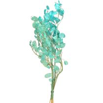 Artikel Torkat silverblad Lunaria ljusblått 65-70cm 20g
