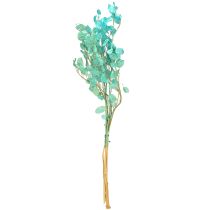 Artikel Torkat silverblad Lunaria ljusblått 65-70cm 20g