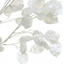 Dekorativ gren silverblad vit Lunaria gren konstgjord gren 70cm