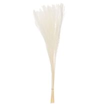 Artikel Torkade blommor, silvergräs. Elegant naturlig dekoration för hem och kontor. 70 cm, 10 stycken.