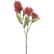 Artikel Skimmie Skimmia Japonica Konstgjorda blommor Burgundy DryLook L59cm