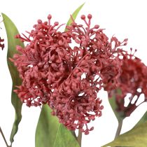 Artikel Skimmie Skimmia Japonica Konstgjorda blommor Burgundy DryLook L59cm