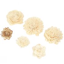 Artikel Sola Blommor Trä Trä Blommor Dekoration Mix Cream 6-11cm 12-15 st