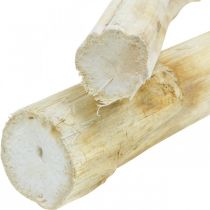 Solrosstjälk 20cm vit 12st