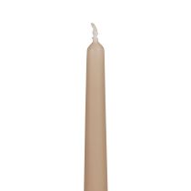 Avsmalnande ljus Wenzel ljus beige 250/23mm 12st
