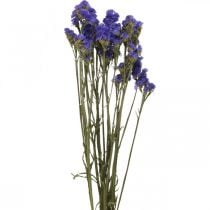 Artikel Gäng havslavendel, torkade blommor, havslavendel, Statice Tatarica Blue L46–57cm 23g