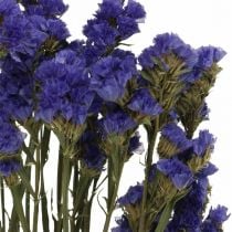 Gäng havslavendel, torkade blommor, havslavendel, Statice Tatarica Blue L46–57cm 23g