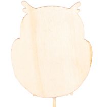Artikel Träuggleplanteringspinnar för blombuketter och krukor, 31 cm, 12 stycken