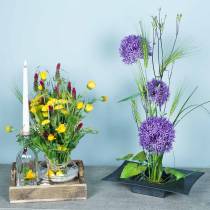 Artikel Blomma igelkottsplugg igelkott Kenzan Ikebana mässing rund Ø 40mm