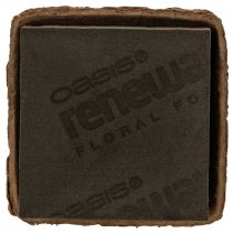 Artikel Blomskum 1/2 tegelsten OASIS® Renewal® Biolit® 12 cm 2 st